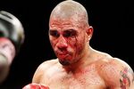 Box_g_cotto16_576_crop_150x100