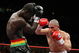 NEW YORK - JUNE 13:  Miguel Cotto punches Joshua Clottey during their WBO Welterweight title fight at Madison Square Garden on June 13, 2009 in New York City.  (Photo by Al Bello/Getty Images)