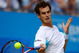 LONDON, ENGLAND - JUNE 14: Andy Murray of Great Britain plays a forehand during the men's final match against James Blake of USA on Day 7 of the AEGON Championship at Queens Club on June 14, 2009 in London, England. (Photo by Julian Finney/Getty Images)