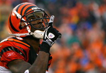 CINCINNATI - DECEMBER 09:  Receiver Chad Johnson #85 of the Cincinnati Bengals reacts after pulling in a reception against the St. Louis Rams during the second half at Paul Brown Stadium on December 9, 2007 in Cincinnati, Ohio.  Cincinnati defeated St. Louis 19-10.  (Photo by Kevin C. Cox/Getty Images)