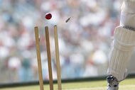 Stumps_crop_190x127
