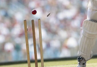 Stumps_crop_340x234