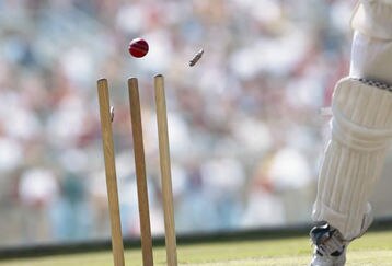 Stumps_feature