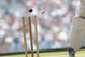 Stumps_medium