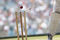 Stumps_small