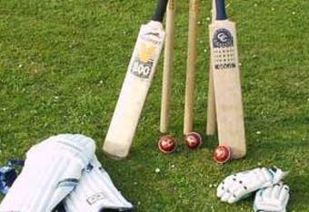 Cricket2_crop_340x234