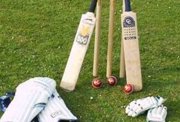 Cricket2_feature