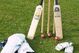 Cricket2_medium