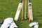 Cricket2_small