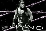 Kalrhyno2_crop_190x127