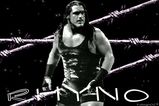 Kalrhyno2_more_feature