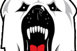 Polarbear_crop_150x100