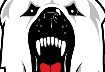Polarbear_crop_340x234