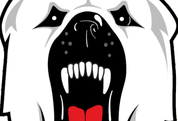 Polarbear_feature