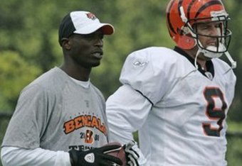 Ochocinco-palmer_crop_340x234