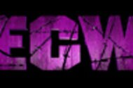 Ecw_logo_crop_190x127