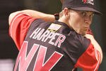 Nv-harper-bat2009_crop_150x100