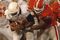 Jeremey_lomax_small