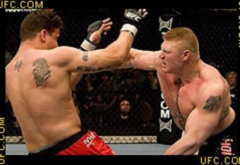 Mirlesnar_crop_340x234