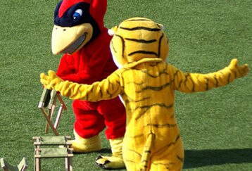 Mascot_fight_feature