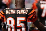 BALTIMORE - SEPTEMBER 7: Wide receiver Chad Johnson #85 of the Cincinnati Bengals stands on the field prior to game against the Baltimore Ravens at M&T Bank Stadium on September 7, 2008 in Baltimore, Maryland. The Ravens won 17-10. (Photo by Ned Dishman/Getty Images)