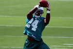 DAVIE, FL - MAY 02: Rookie cornerback Vontae Davis #24 of the Miami Dolphins catches a ball during mini camp on May 2, 2009 at the Miami Dolphins Training facility in Davie, Florida.  (Photo by Marc Serota/Getty Images)