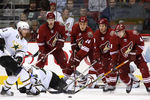 Coyotes_2_crop_150x100