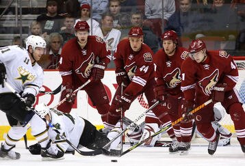 Coyotes_2_feature