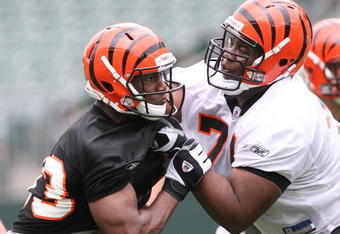 CINCINNATI, OH - MAY 1:  Cincinnati Bengals first round draft pick Andre Smith #71, right, battles withthird round draft pick Michael Johnson #93 during rookie minicamp at Paul Brown Stadium on May 1, 2009 in Cincinnati, Ohio.  (Photo by Mark Lyons/Getty Images)