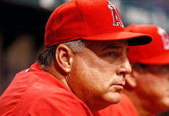 ST. PETERSBURG, FL - AUGUST 19:  Manager Mike Scioscia #14 of the Los Angeles Angels watches his team from the dugout against the Tampa Bay Rays during the game on August 19, 2008 at Tropicana Field in St. Petersburg, Florida.  (Photo by J. Meric/Getty Images)