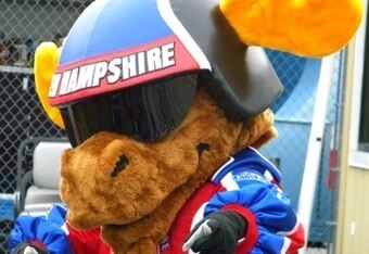 Milo_the_moose_crop_340x234
