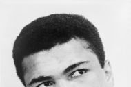 Ali_crop_190x127