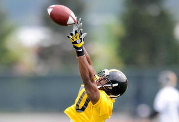 PITTSBURGH - MAY 01:  Joe  Burnett #40 of the Pittsburgh Steelers makes a catch during rookie training camp at the Pittsburgh Steelers Practice Facility on May 1, 2009 in Pittsburgh, Pennsylvania.  (Photo by Joe Sargent/Getty Images)