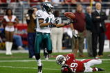 GLENDALE, AZ - JANUARY 18:  Wide receiver DeSean Jackson #10 of the Philadelphia Eagles catches a 62-yard touchdown in front of cornerback Dominique Rodgers-Cromartie #29 of the Arizona Cardinals in the fourth quarter during the NFC championship game on January 18, 2009 at University of Phoenix Stadium in Glendale, Arizona.  (Photo by Chris Graythen/Getty Images)