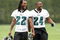 PHILADELPHIA - MAY 1: Defensive backs Asante Samuel #22 and Sheldon Brown #24 of the Philadelphia Eagles practice during minicamp at the NovaCare Complex on May 1, 2009 in Philadelphia, Pennsylvania. (Photo by Hunter Martin/Getty Images)