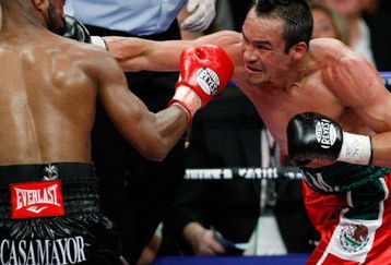 LAS VEGAS - SEPTEMBER 13:  Juan Manuel Marquez (R) hits Joel Casamayor in the sixth round of their bout at the MGM Grand Garden Arena September 13, 2008 in Las Vegas, Nevada. Marquez won by knockout in the 11th round.  (Photo by Ethan Miller/Getty Images)