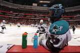 ANAHEIM, CA - APRIL 21:  Brian Boucher #33 of the San Jose Sharks looks on during warmups against the Anaheim Ducks during Game Three of the Western Conference Quarterfinal Round of the 2009 Stanley Cup Playoffs at Honda Center on April 21, 2009 in Anaheim, California. (Photo by Harry How/Getty Images)