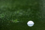 MUNICH, GERMANY - JUNE 25:  A player ball swims in water laying on the fairway during the first round of The BMW International Open Golf at The Munich North Eichenried Golf Club on June 25, 2009, in Munich, Germany.  (Photo by Stuart Franklin/Getty Images)
