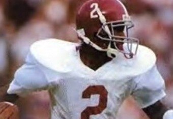 David_palmer_crop_340x234