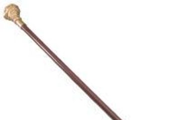 Cane_feature