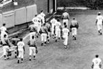 Dejected_cubs_of_69_crop_150x100