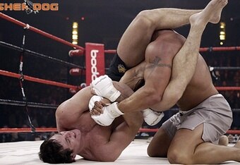 Gracie_crop_340x234