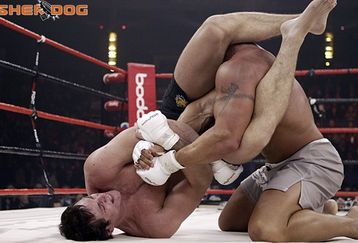 Gracie_feature