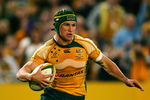 SYDNEY, AUSTRALIA - JUNE 27:  Matt Giteau of the Wallabies crosses the line to score a try during the Test match between the Australian Wallabies and France at ANZ Stadium on June 27, 2009 in Sydney, Australia.  (Photo by Matt King/Getty Images)