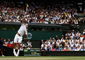 Creature VS. Creature: Roger Federer On Surreal-Serving Sunday
