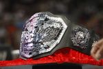 Ecw_title_crop_150x100