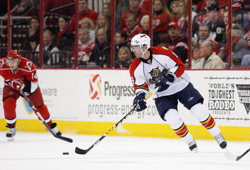 RALEIGH, NC - DECEMBER 18:  Radek Dvorak #14 of the Florida Panthers handles the puck during the game against the Carolina Hurricanes on December 18, 2008 at RBC Center in Raleigh, North Carolina.  (Photo by Kevin C. Cox/Getty Images)