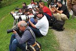 Paparazzi_crop_150x100