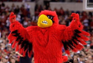 INDIANAPOLIS - MARCH 29:  The mascot for the Louisville Cardinals performs against the Michigan State Spartans during the fourth round of the NCAA Division I Men's Basketball Tournament at the Lucas Oil Stadium on March 29, 2009 in Indianapolis, Indiana.  (Photo by Andy Lyons/Getty Images)
