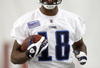NASHVILLE, TN - MAY 1: Kenny Britt #18 of the Tennessee Titans smiles during the Tennessee Titans Minicamp on May 1, 2009 at Baptist Sports Park in Nashville, Tennessee. (Photo by Joe Murphy/Getty Images)